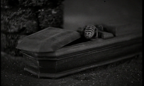 Vampire bee from the 1931 Dracula movie.