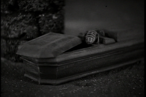 Vampire bee from the 1931 Dracula movie.