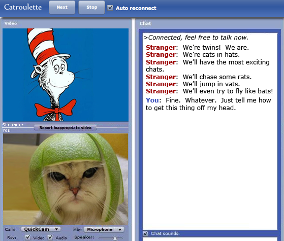 The Cat in the Hat meets Limecat in Catroulette / Chatroulette