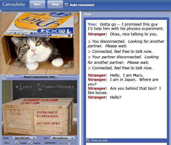 Maru meets Schroedinger's cat in Catroulette / Chatroulette
