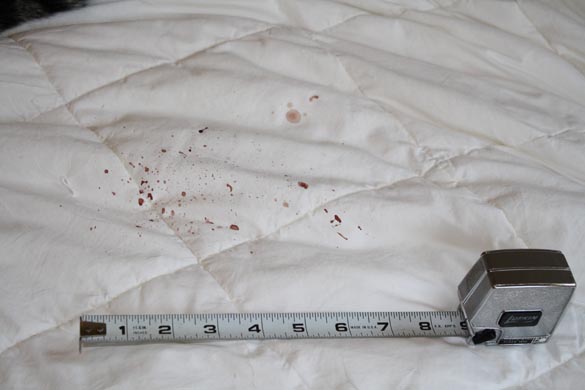 Spatter pattern from an apparent bloody cat sneeze