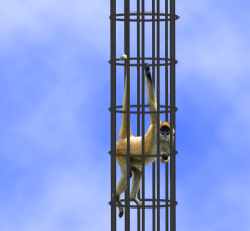 The sky and clouds probably don't make a lot of sense, but I thought they were pretty. A monkey in an infiniteyly tall cylindrical cage.