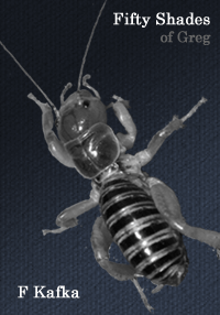 Fifty Shades of Gregor Samsa -- 50 Shades of Grey meets Kafka's Metamorphosis