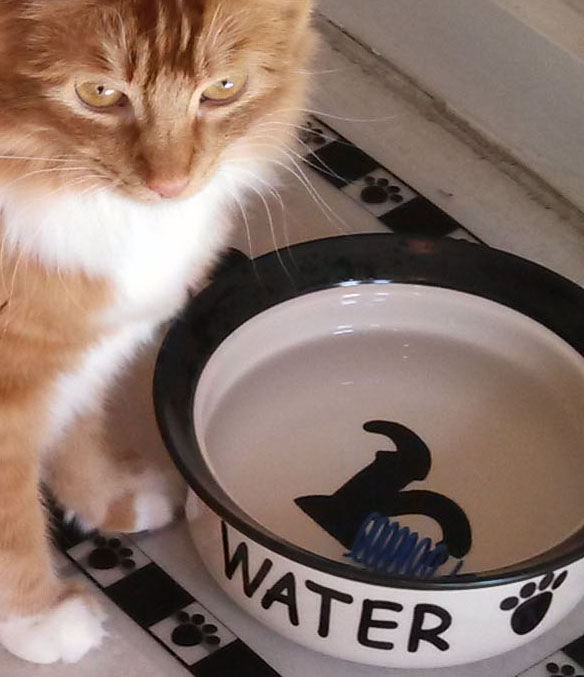 Not just a pretty face.